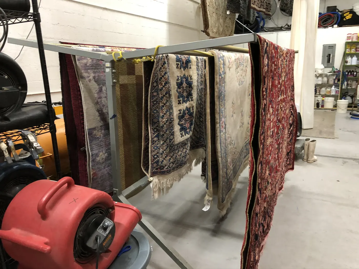 Washed rugs drying under air movers in the controlled drying room